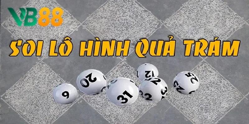 Soi cầu quả trám Soi cầu quả trám